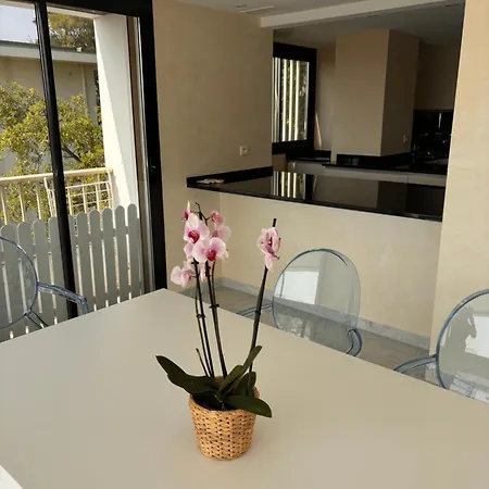 Lägenhet Exceptionnel Terrasse Cannes